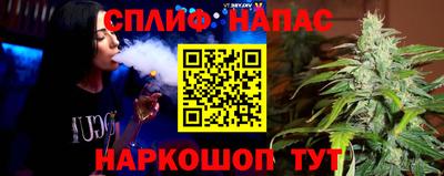 прущие грибы Гусиноозёрск