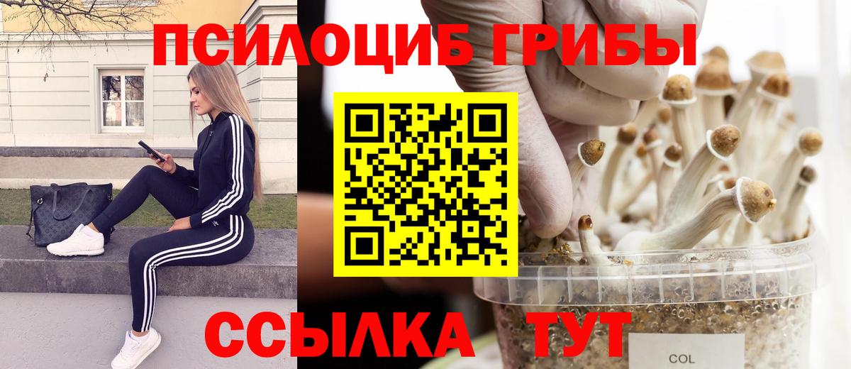Галлюциногенные грибы мухоморы  Вход с VPN  Псилоцибиновые грибы Magic Shrooms  Раменское 